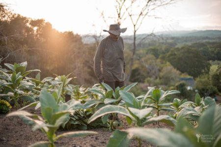 Escándalo en la Agencia Nacional de Tierras: revelan irregularidades en la compra predios por $17.000 millones imagen-10