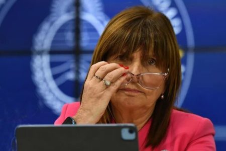 La ciberpatrulla de Patricia Bullrich imagen-14