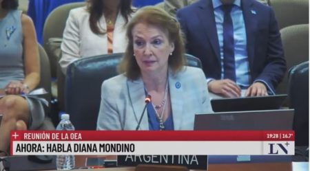 Diana Mondino, desde la OEA: “El régimen de Maduro no se ajusta a derecho” imagen-13