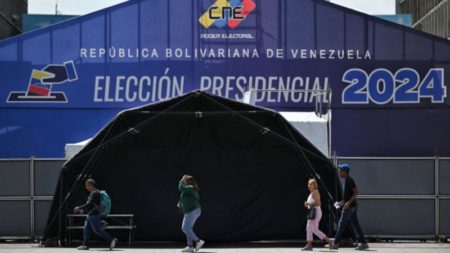 El Centro Carter y la ONU piden al CNE que publique los resultados de las elecciones imagen-10