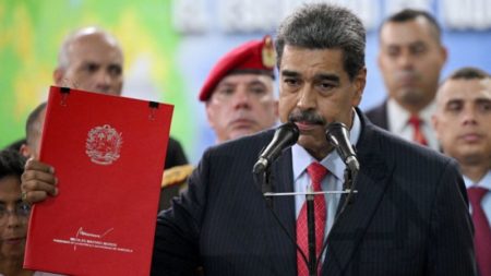 Maduro interpone un recurso ante el Tribunal Supremo de Justicia para que certifique los resultados imagen-13