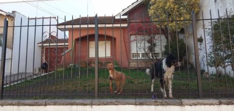 Autopsia determinó que misionero le asestó once puñaladas a su pareja imagen-4