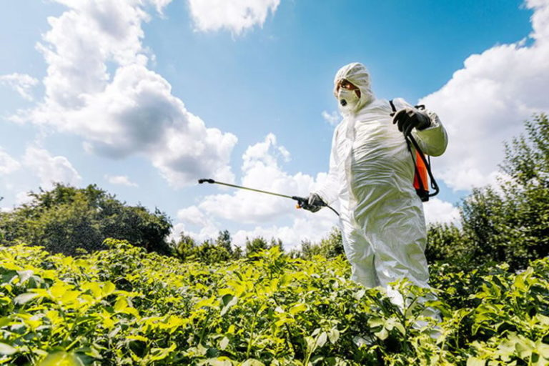 Mesa Socioambiental Misionera y Pueblos Originarios pidieron la prohibición del glifosato en la provincia imagen-4