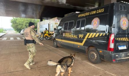 La Policía Federal de Brasil incorpora perros adiestrados para la vigilancia fronteriza imagen-13