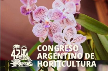 Misiones promocionará sus orquídeas cuando sea sede del Congreso Argentino de Horticultura imagen-7