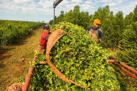 La UATRE logró un nuevo aumento: cuál será el salario mínimo de un peón rural imagen-12