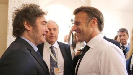 Javier Milei se reúne con Emmanuel Macron antes de la inauguración de los Juegos Olímpicos imagen-9