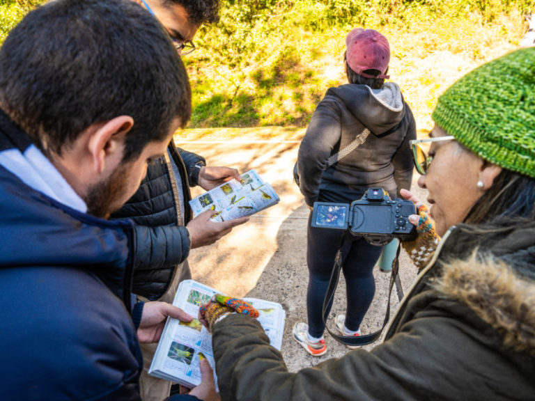 Avistaje de aves en el Parque de la Cruz: turistas y vecinos vivieron una experiencia única imagen-4