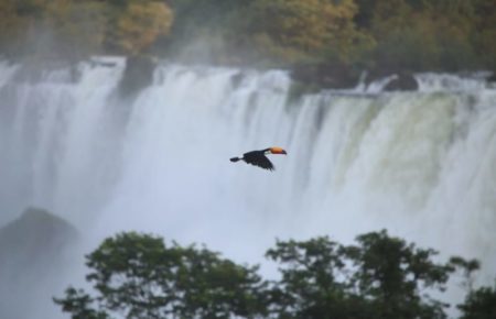 Misiones en vistas de alcanzar un 80% de ocupación hotelera en todos sus destinos durante el receso invernal imagen-11