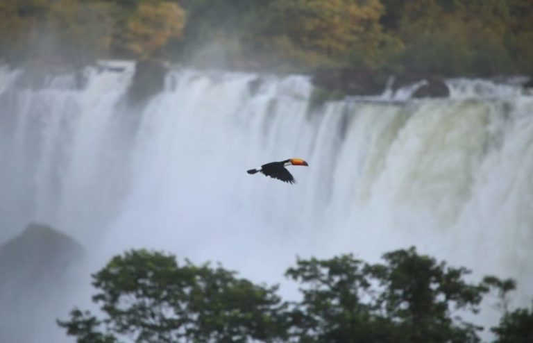 Misiones en vistas de alcanzar un 80% de ocupación hotelera en todos sus destinos durante el receso invernal imagen-4