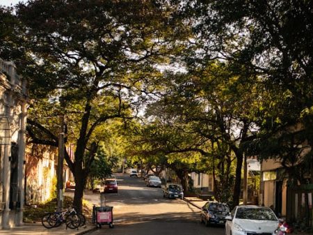 Barrio «La Bajada Vieja», testigo silencioso de la historia de Posadas imagen-8