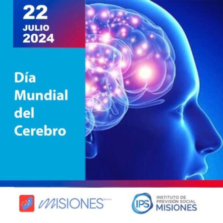 🗓️22 de julio: Día Mundial del Cerebro 🧠 imagen-10