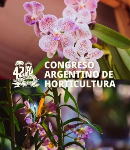 AGRO: MISIONES PROMOCIONARÁ SU PRODUCCIÓN DE ORQUÍDEAS EN EL 42° CONGRESO ARGENTINO DE HORTICULTURA imagen-11