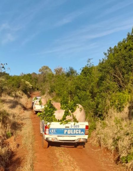 Policías rurales evitaron el robo de yerba mate a un colono y detuvieron al implicado imagen-12