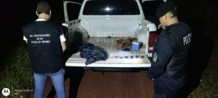 Incautaron más de 2 kilogramos de marihuana y dosis de cocaína en un operativo nocturno en San Pedro imagen-9