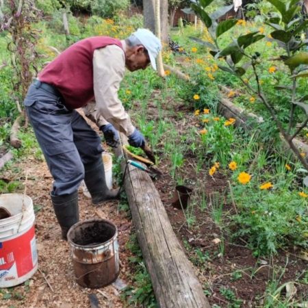 AGRICULTURA FAMILIAR: CAPACITACIÓN DEL SEGUNDO MÓDULO EN HUERTAS EN EL HOGAR DE DÍA imagen-9