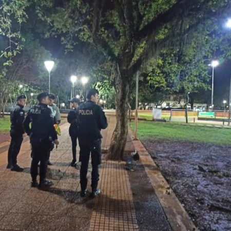 Despliegue de patrullas de seguridad nocturna en los 78 municipios de Misiones imagen-12