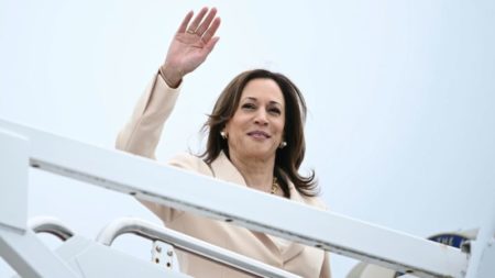 Harris se acerca al anuncio de su elección para la vicepresidencia mientras su equipo evalúa a los aspirantes principales imagen-7