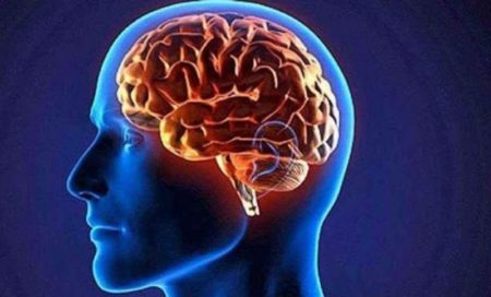 Día Mundial del Cerebro: la importancia de su cuidado preventivo imagen-14