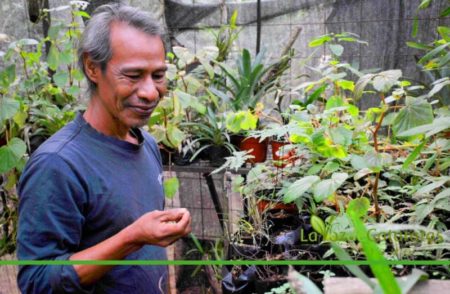 Día de la Semilla: «Recuperar la selva, volver a ver crecer un árbol y verlo nacer desde una pequeña semilla» imagen-15