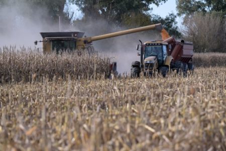 La economía argentina se recupera tras seis meses de caída, ¿ya pasó lo peor? imagen-11