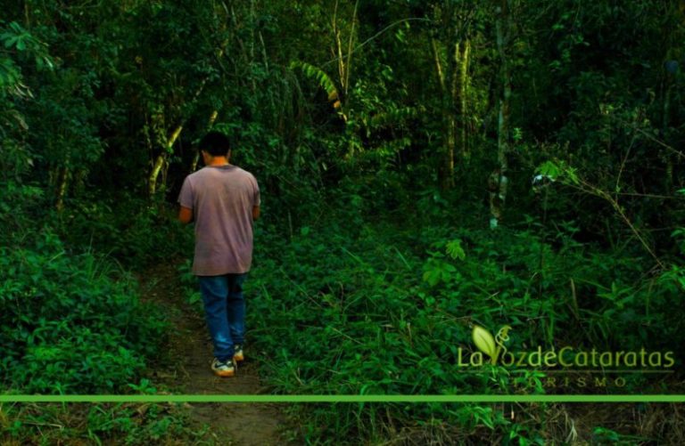 Turismo Mbya: Tapé Porá se suma a los senderos del conocimiento, en plena selva imagen-4