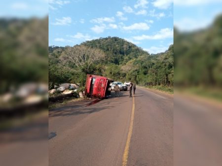 Volcó un camión repleto de yerba frente al mirador de Aristóbulo del Valle imagen-15