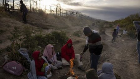 ¿Qué podría pasar con la migración venezolana tras estas elecciones? imagen-11