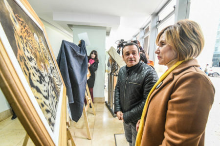 Se inauguró en la Legislatura la muestra Arte en Cámara imagen-16