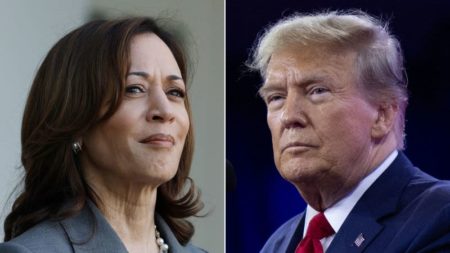 Trump reanuda su campaña en Carolina del Norte ante un panorama político reconfigurado y un nuevo adversario: Kamala Harris imagen-7