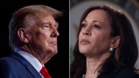 Trump desata sus ataques contra Harris, dice que era una "vaga hace tres semanas" y que “no le gustan los judíos” imagen-15