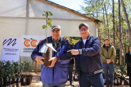 ENTREGARON MÁS DE 35 MIL PLANTINES A PRODUCTORES FRUTIHORTICOLAS EN LEANDRO N. ALEM imagen-9