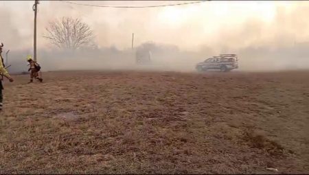 Incendio forestal en Córdoba: se prendieron fuego los predios militares cercanos a la avenida Circunvalación imagen-14