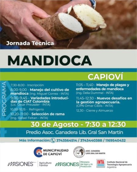 AGRICULTURA FAMILIAR: REALIZARÁN UNA JORNADA TÉCNICA SOBRE CULTIVO DE MANDIOCA EN CAPIOVÍ imagen-7