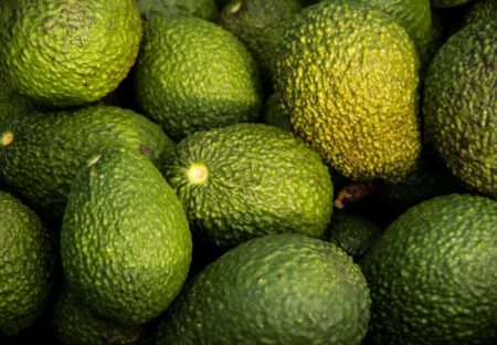 Cuánto tarda un árbol de palta en dar su primer fruto y los beneficios imperdibles que aporta imagen-8