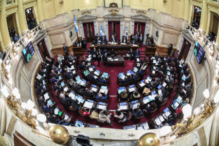 Senado: La estrategia de La Libertad Avanza para frenar el aumento a los jubilados imagen-14