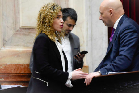 La Casa Rosada evalúa expulsar a Arrieta y Paoltroni de los bloques libertarios imagen-14