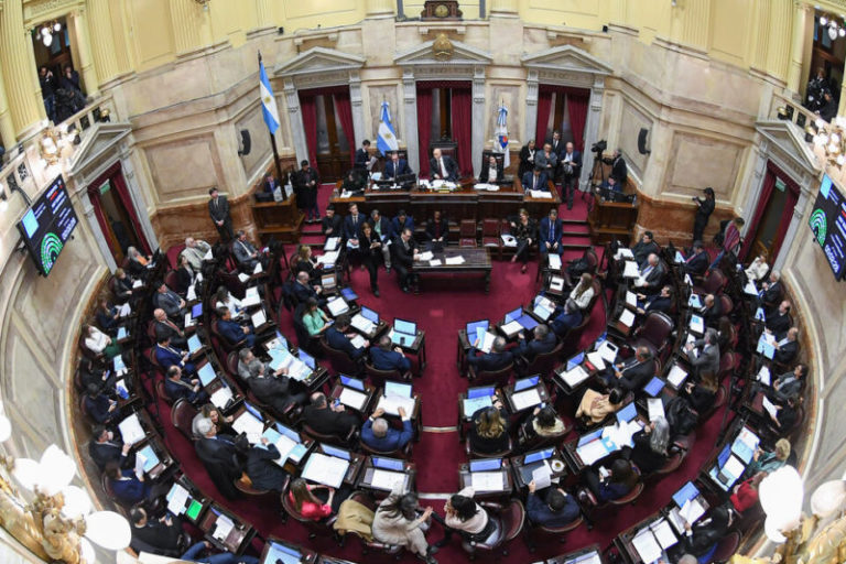 La oposición prepara una contraofensiva en el Senado imagen-4