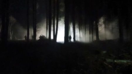 Otro clásico Disney se convierte en una película de terror: no volverás a ver un bosque de la misma manera imagen-7