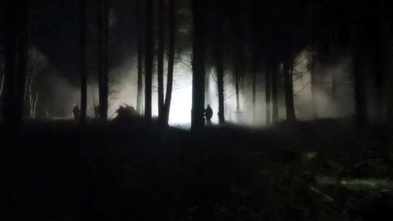 Otro clásico Disney se convierte en una película de terror: no volverás a ver un bosque de la misma manera imagen-4