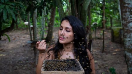 Rosa Vásquez presenta a la Amazonía en National Geographic: investiga a las abejas sin aguijón, una especie que podría ayudar a la selva peruana imagen-7