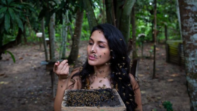 Rosa Vásquez presenta a la Amazonía en National Geographic: investiga a las abejas sin aguijón, una especie que podría ayudar a la selva peruana imagen-3