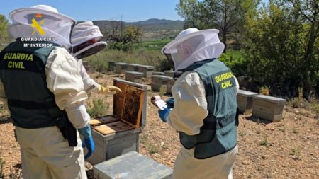 Operación Matrihoney: la Guardia Civil incauta 40 toneladas de miel ecológica contaminada con pesticidas procedente de China imagen-11