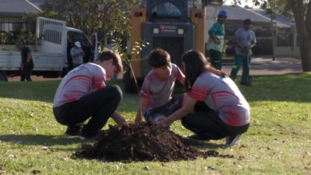 Avanza la iniciativa “Barrios más Verdes” en Posadas imagen-12