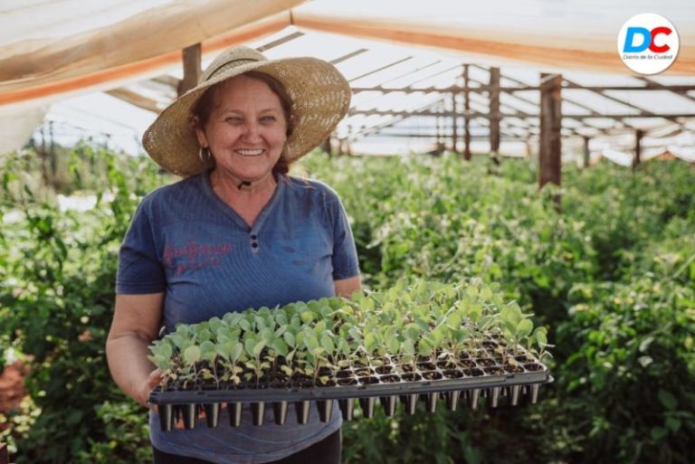 Agroecología en Misiones: 92% de productores ya migraron a los bioinsumos y la meta es ser libre de Glifosato imagen-3