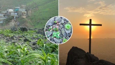 La loma de Lima que forma parte de dos distritos: plantas brotan entre las piedras y hay una roca similar a la del ‘Rey León’ imagen-10