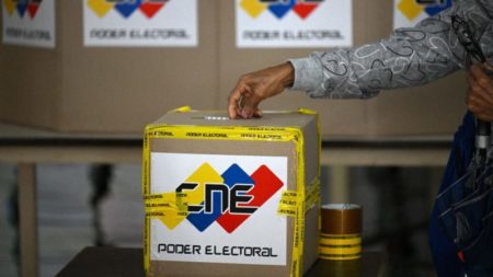 La OEA aprueba una resolución que urge al CNE de Venezuela a publicar desglosadas las actas de la elección presidencial imagen-15