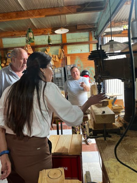 ACCIÓN COOPERATIVA: UN EMPRENDIMIENTO FAMILIAR DE SANTA ANA FABRICA JUGUETES DIDÁCTICOS DE MADERA CON EL REMANENTE DE ASERRADEROS DE LA ZONA imagen-9