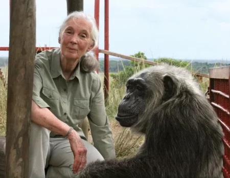 La investigadora Jane Goodall llega por primera vez a Iguazú imagen-16