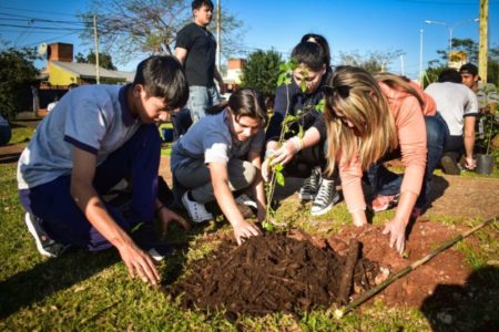 Más de 70 árboles fueron plantados en Posadas en el marco del programa “Barrios Más Verdes” imagen-16